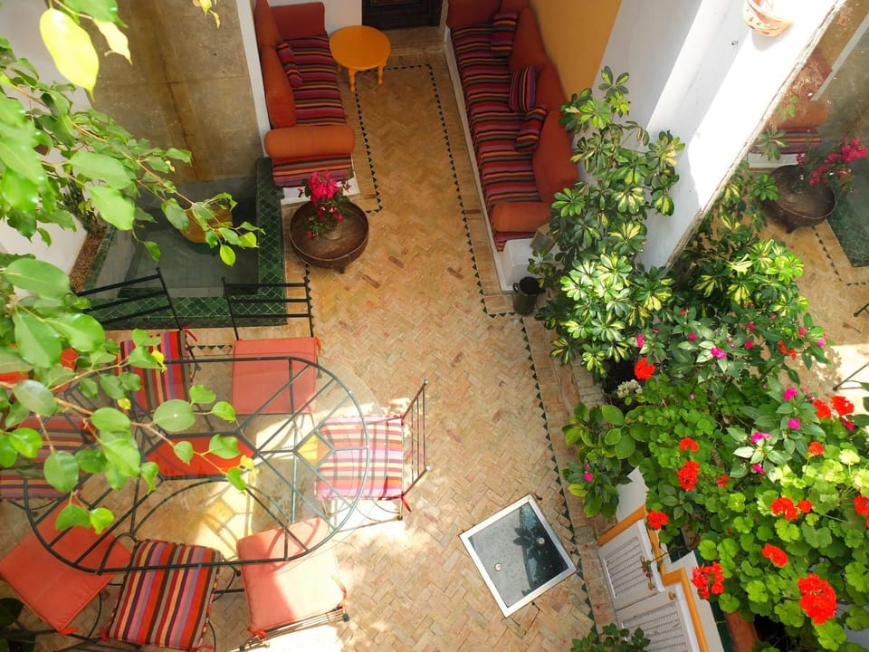 Patio, Day, Dining area