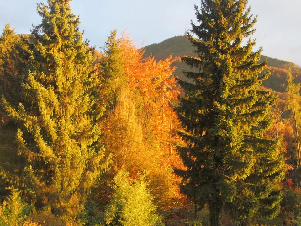 Natural landscape