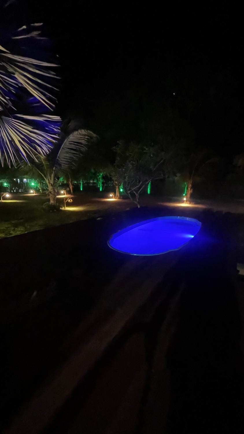 Night, Pool view, Swimming pool