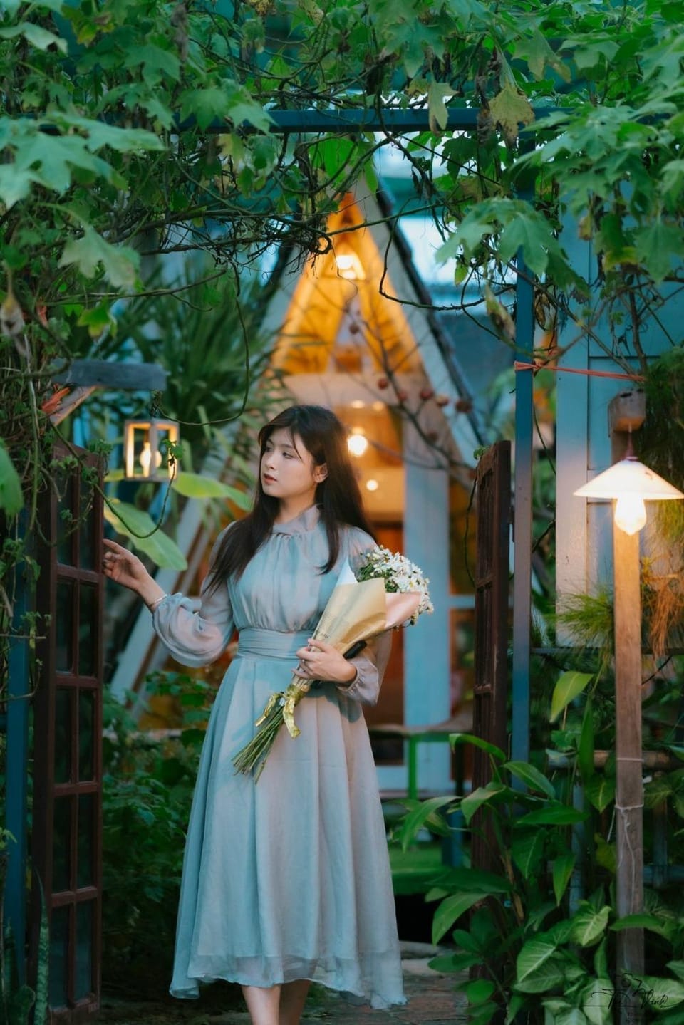 Spring, Night, Garden, Garden view