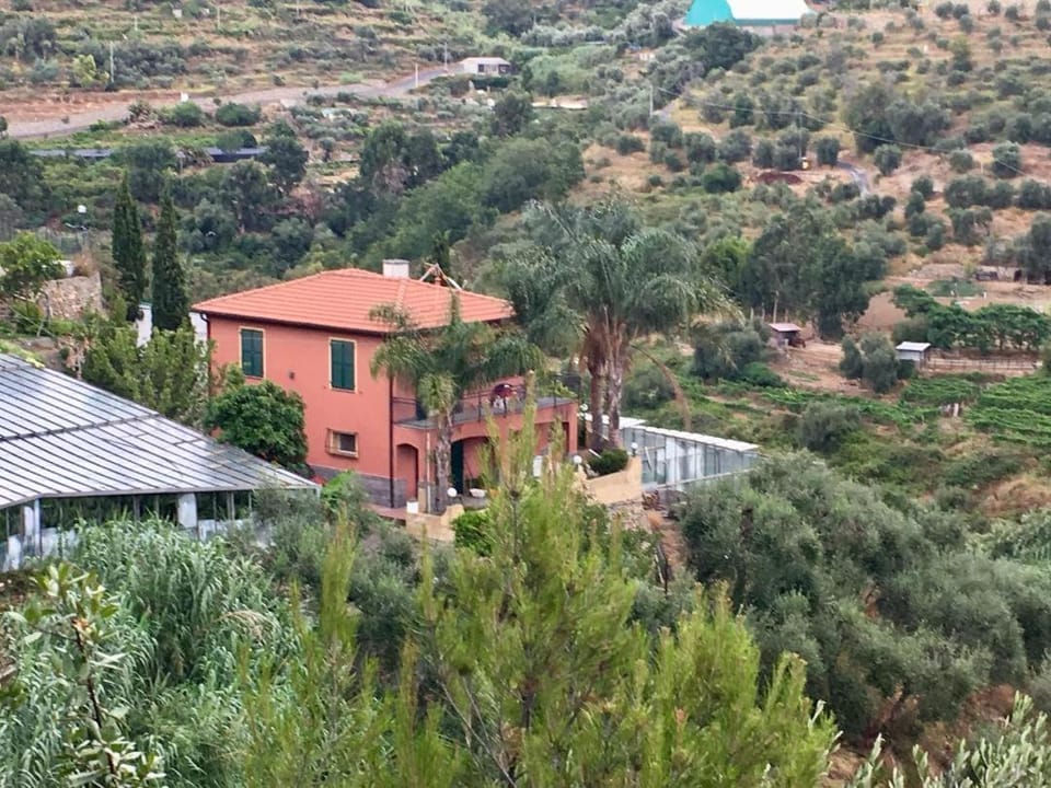 Neighbourhood, Other, Mountain view, Sea view, Street view, Quiet street view, Inner courtyard view