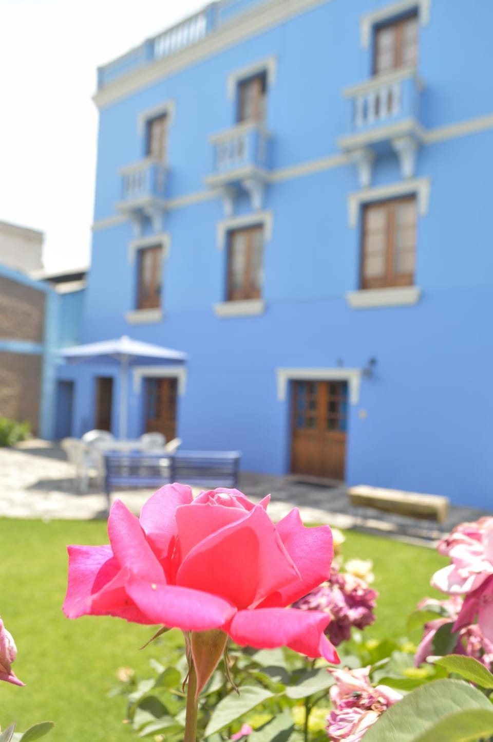 Garden view