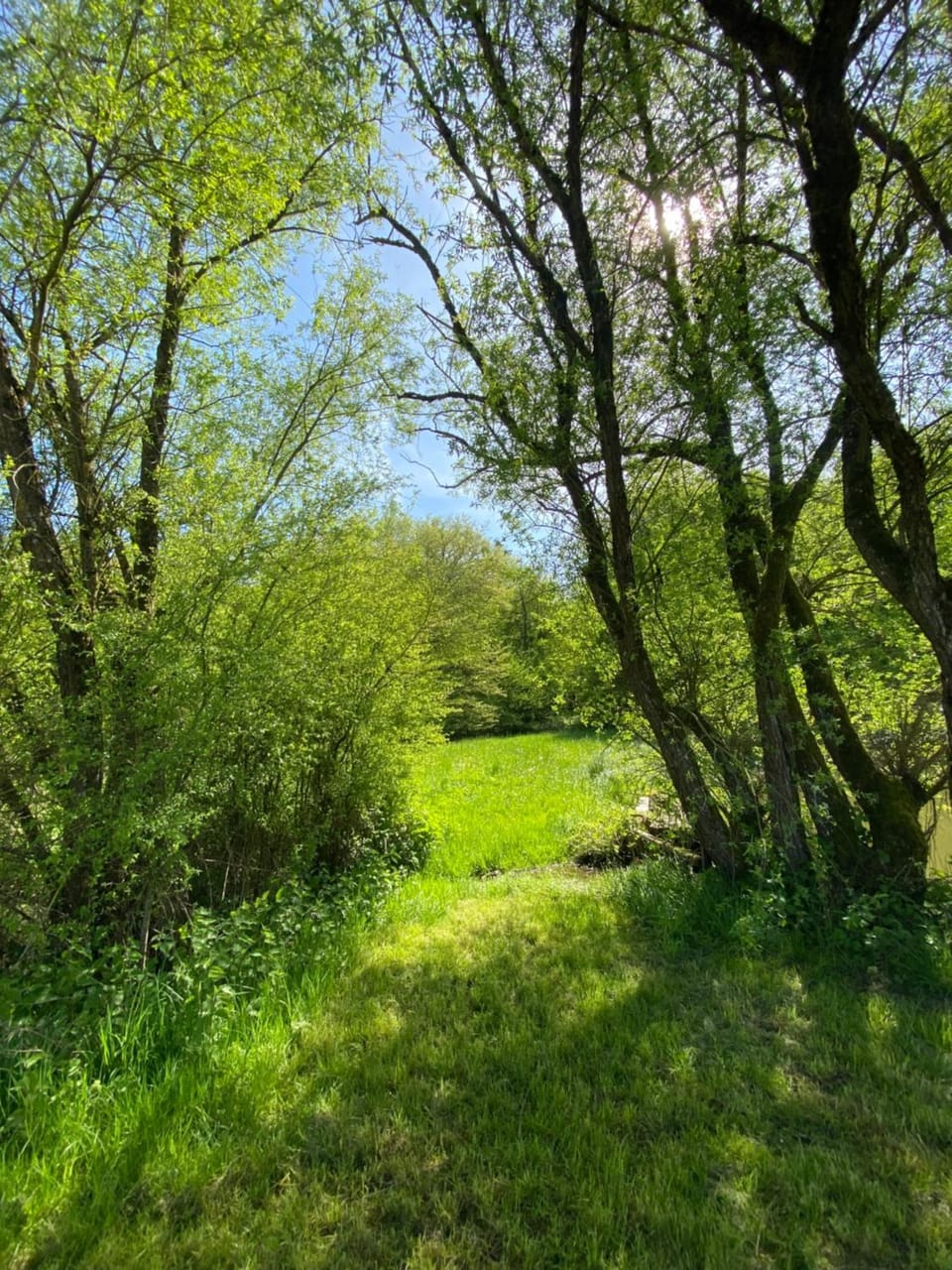 Natural landscape