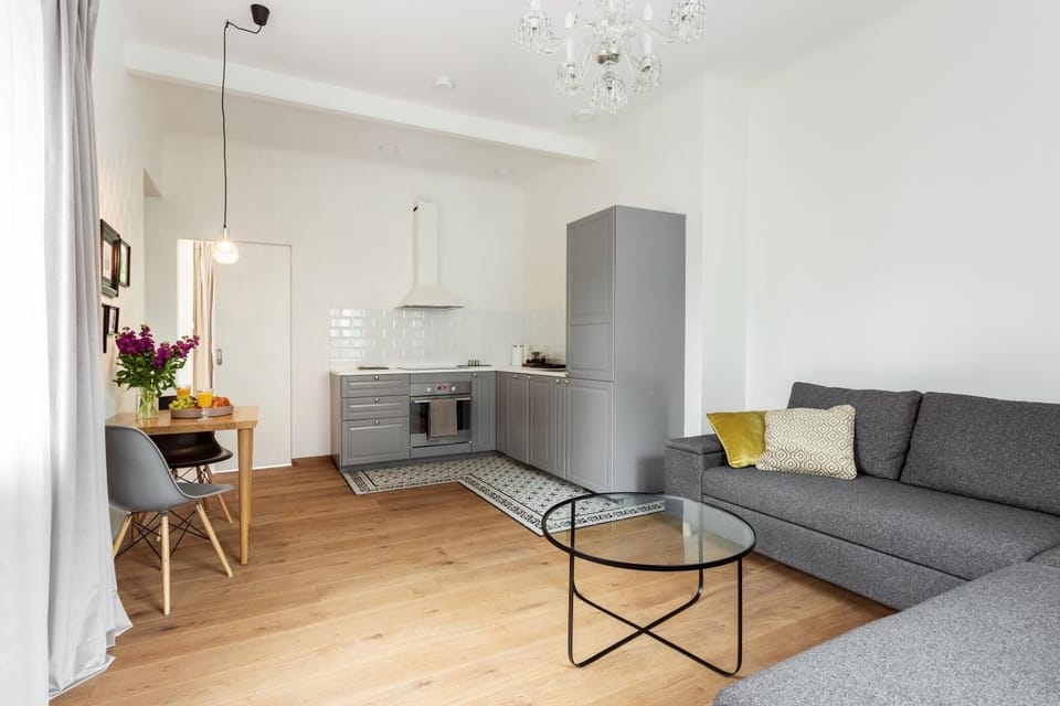 Bright and Cosy 1BDR apartment Kaunas Centre Apartment in Lithuania