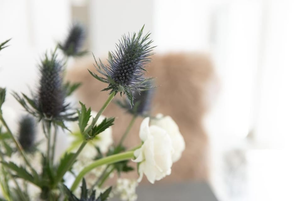 Ferienwohnung Am Stadtpark Apartment in Schwäbisch Hall