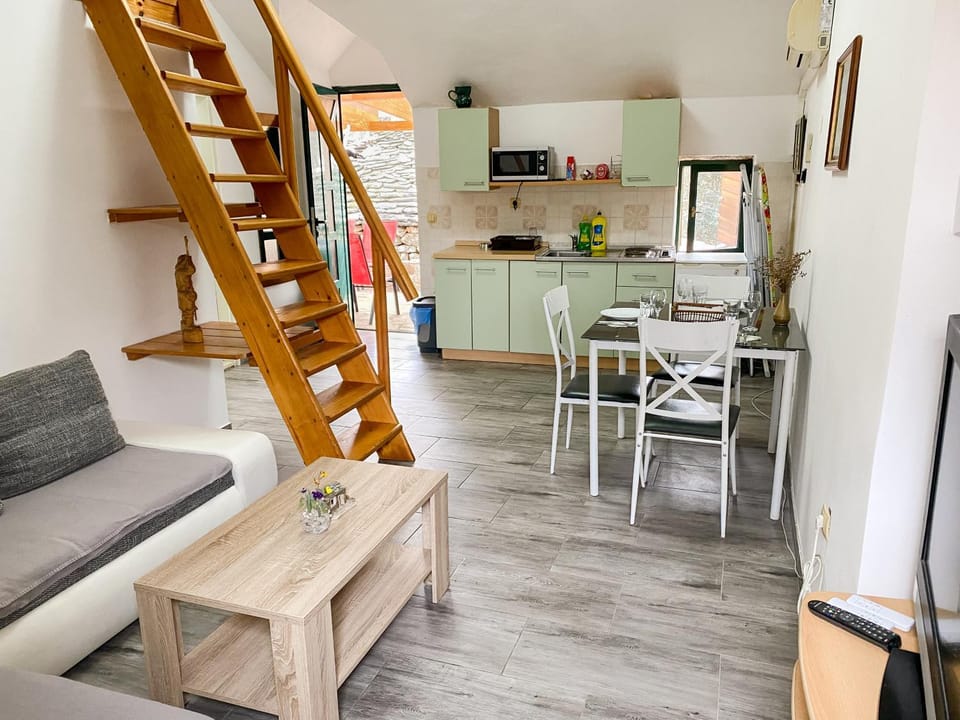 TV and multimedia, Kitchen or kitchenette, Living room, Seating area, Dining area, minibar, pet friendly, stove