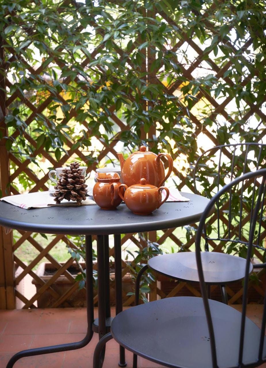 Patio, Garden