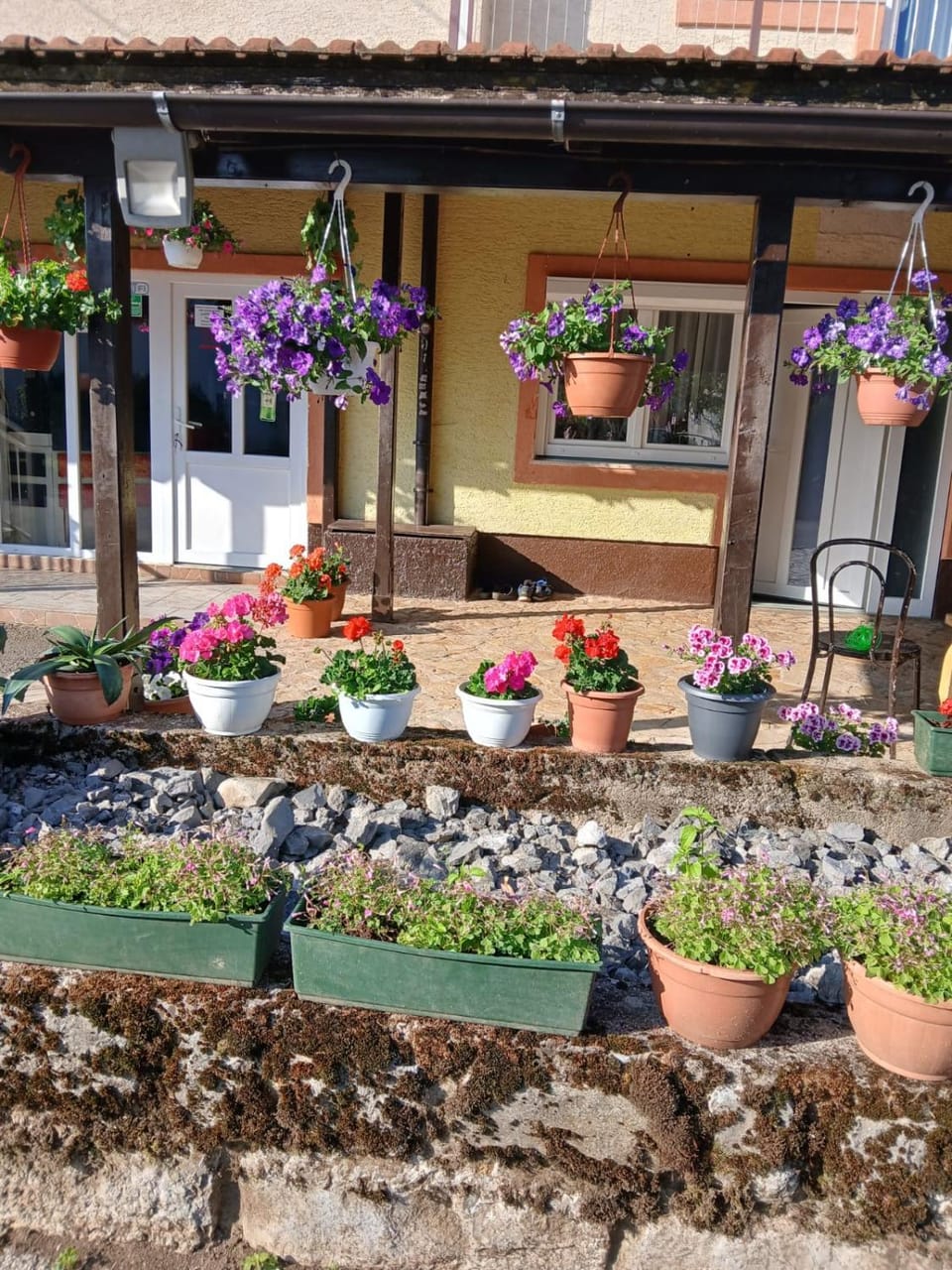 Spring, Garden