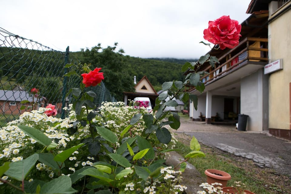 Day, Natural landscape, Garden view, Mountain view
