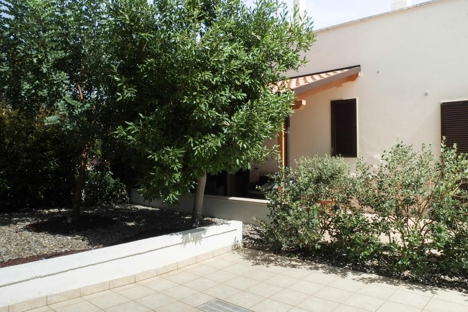 Property building, Patio, Patio, Spring, Natural landscape, Summer, Garden, Garden, Garden view, Garden view, Inner courtyard view