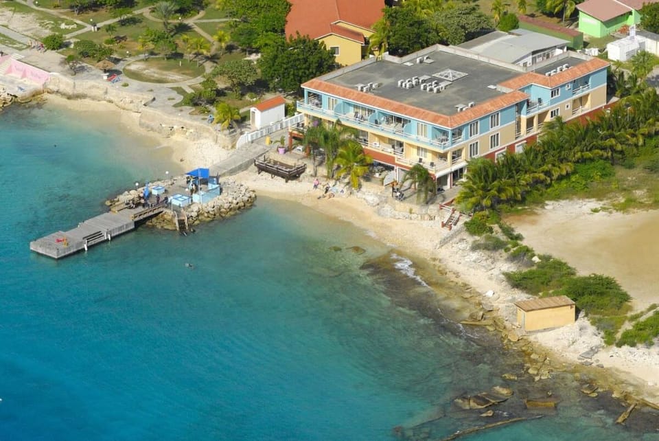 Oceanfront Parrotfish at Den Laman Apartment in Venezuela