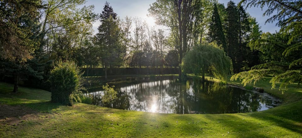 Lake view
