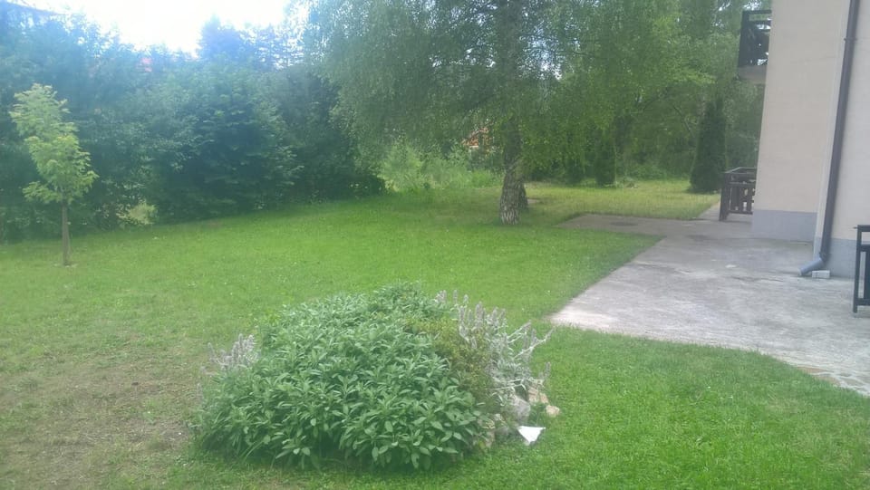 Apartman Mila Zlatibor Apartment in Zlatibor
