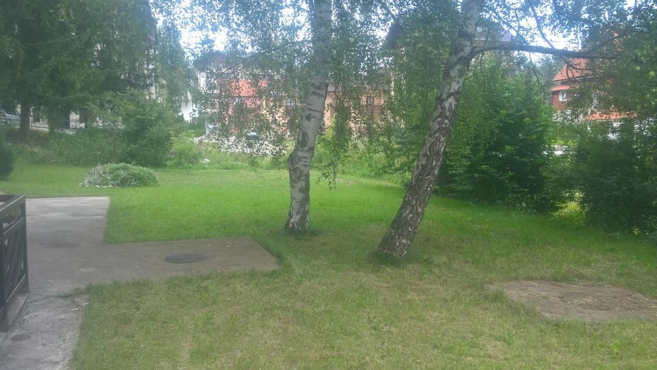 Apartman Mila Zlatibor Apartment in Zlatibor