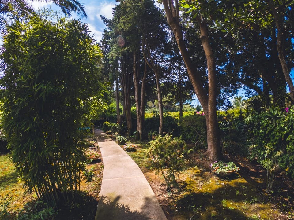 Garden, Garden view