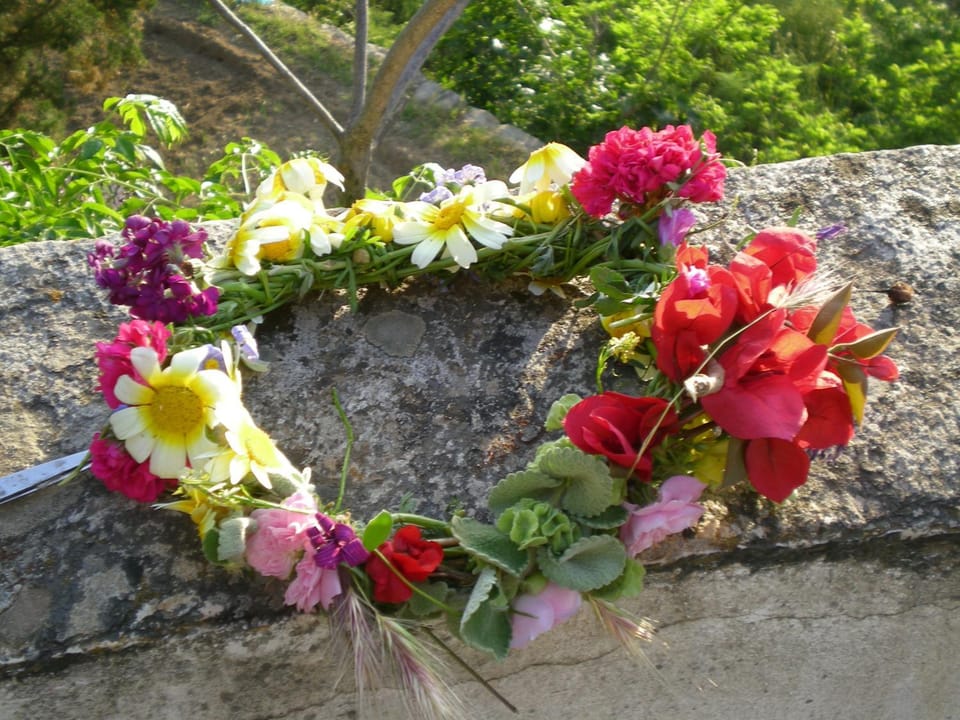 Spring, Garden