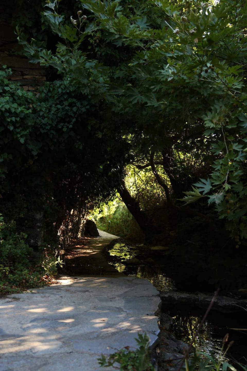 Natural landscape