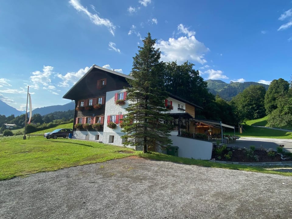 Property building, Summer, Garden