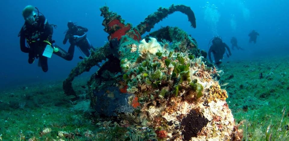 Diving
