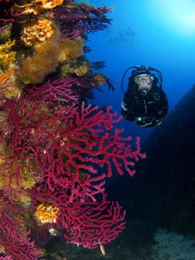 Diving
