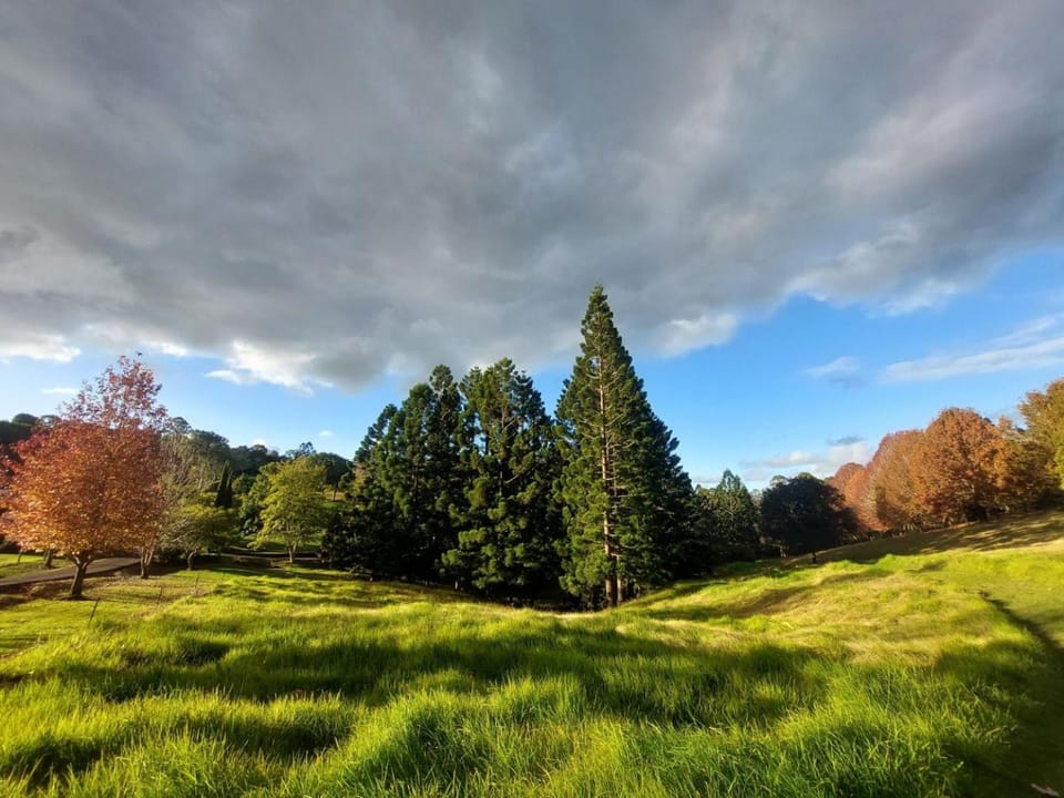 Cottage in The Woods, Maleny House in Maleny