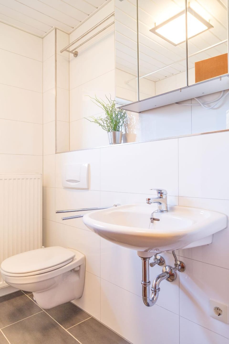 Toilet, Bathroom