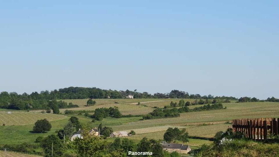View (from property/room)