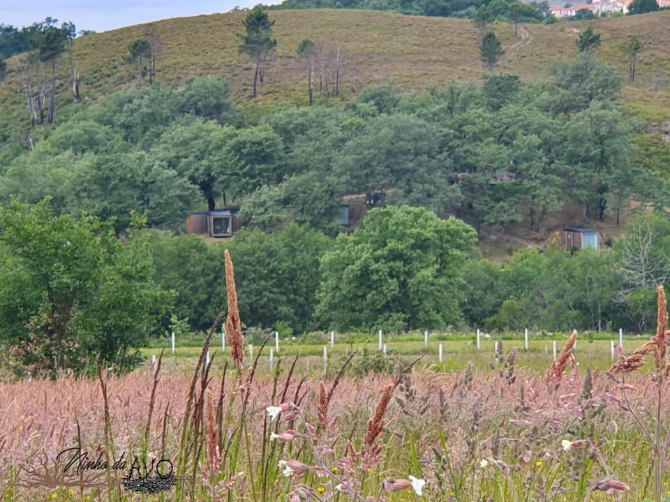 Ninho da Avó Selvagem Nature lodge in Vila Real District