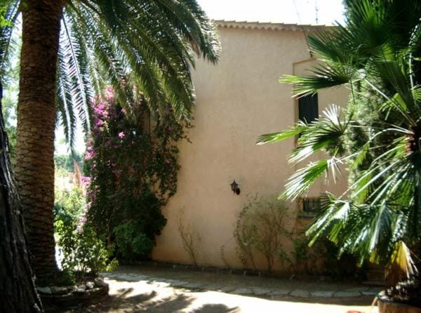 Property building, Garden view
