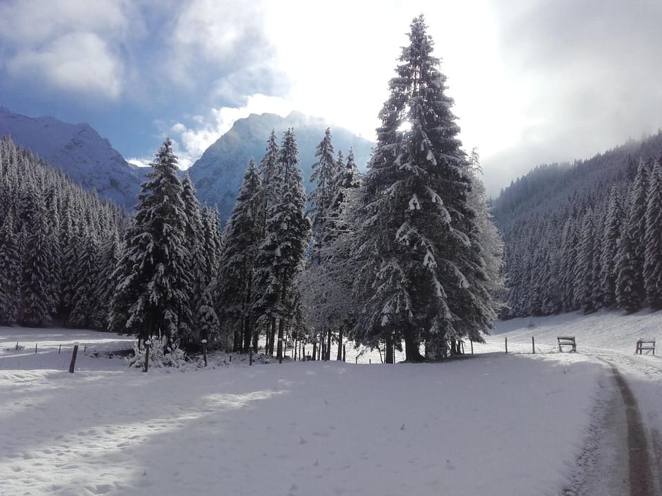 Natural landscape, Winter