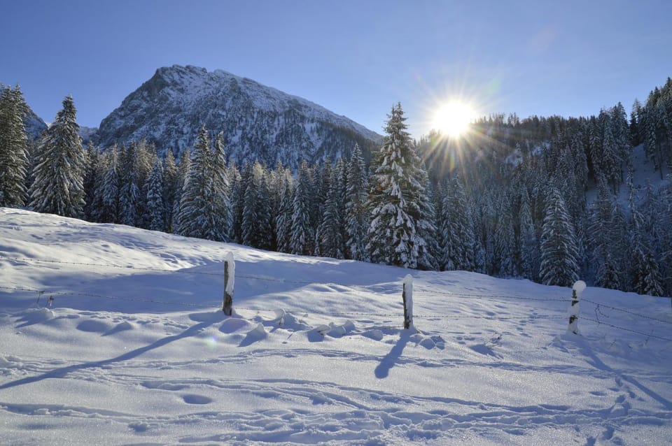 Winter, Mountain view