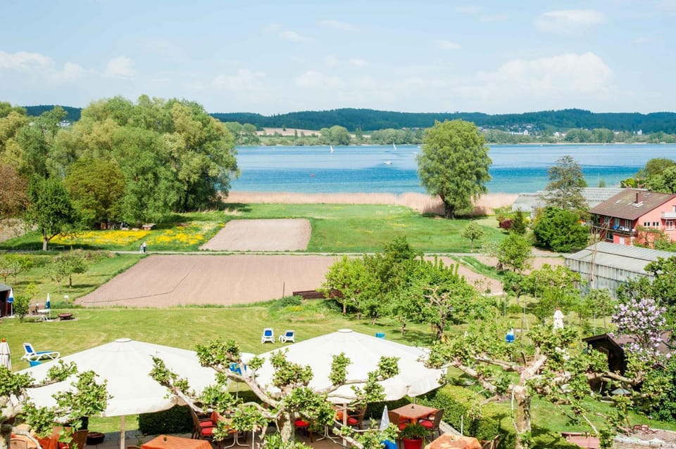 Garden, Lake view