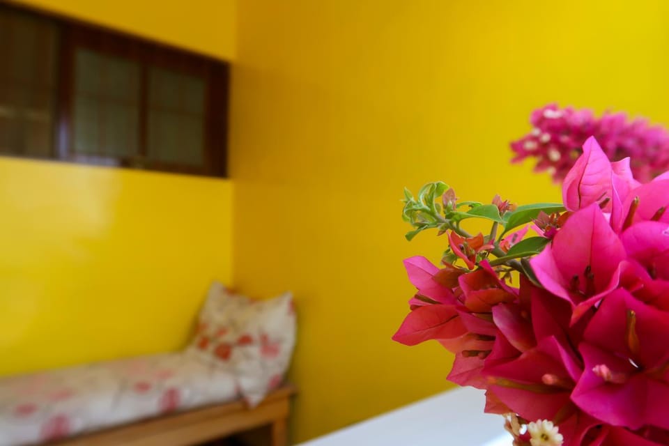 O Jardim do Vinho, AC Bed and Breakfast in Praia