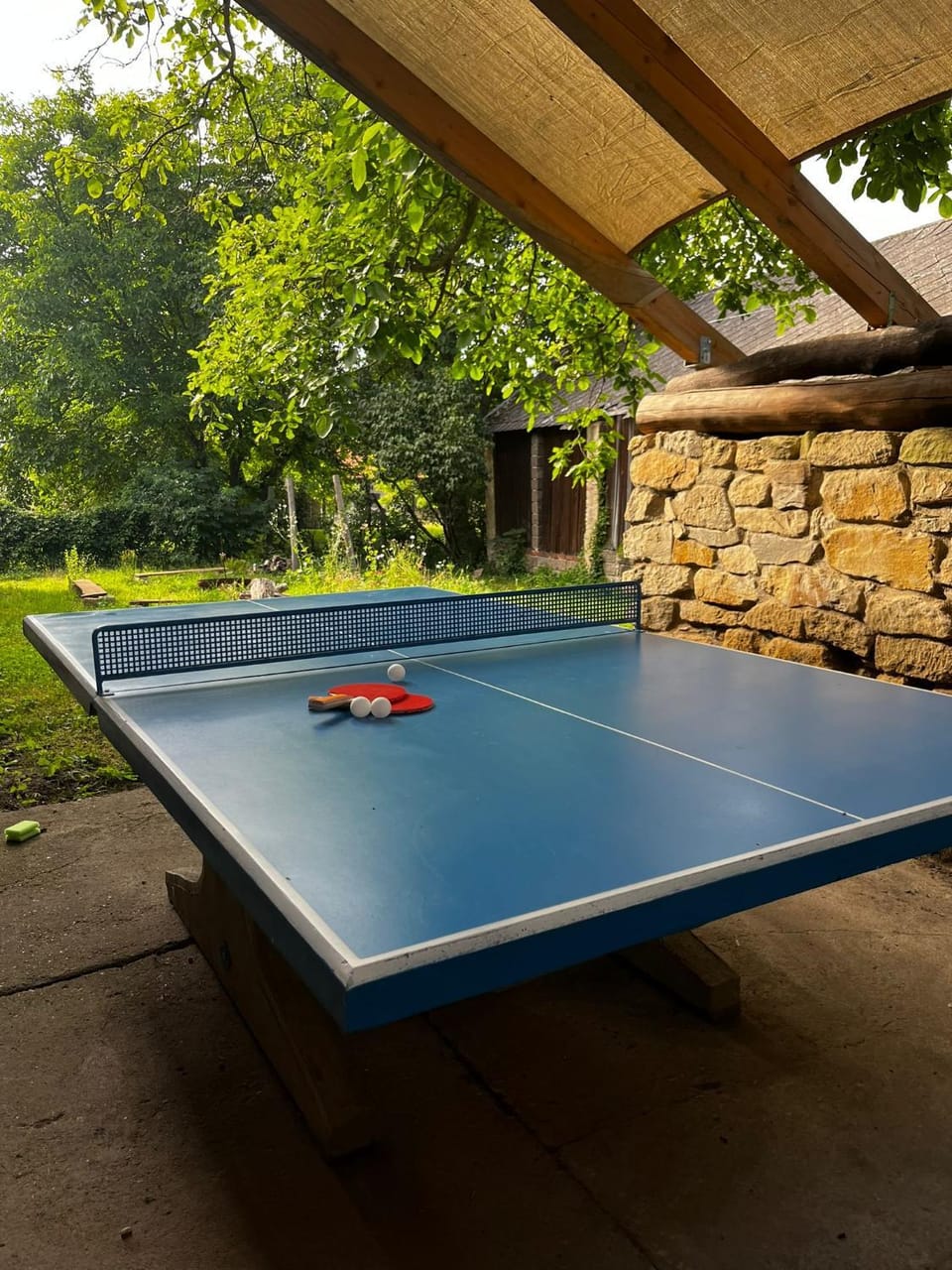 Table tennis