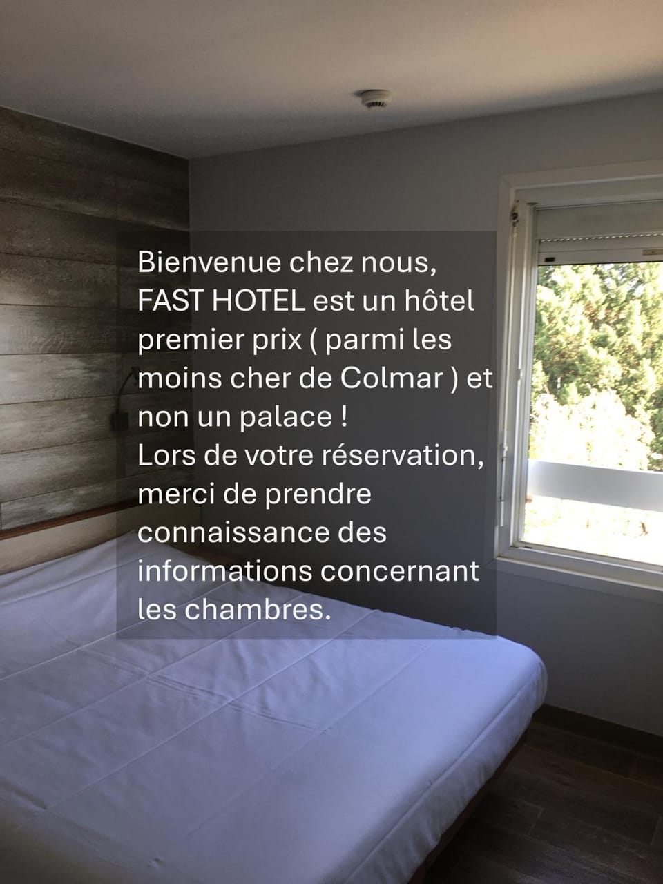 Property building, Bed, Photo of the whole room, Bedroom