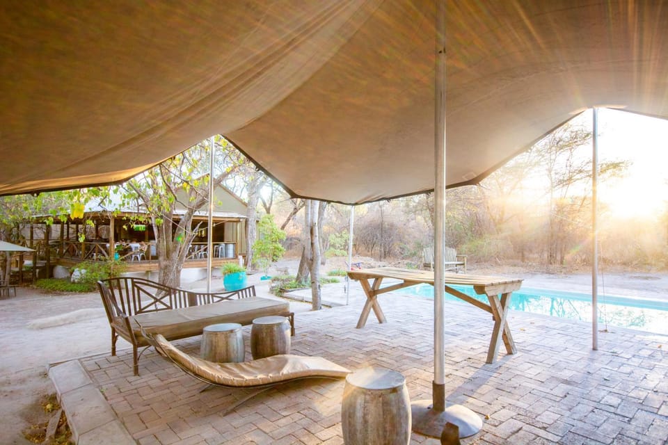 Patio, Day, Winter, Summer, Lounge or bar, Swimming pool