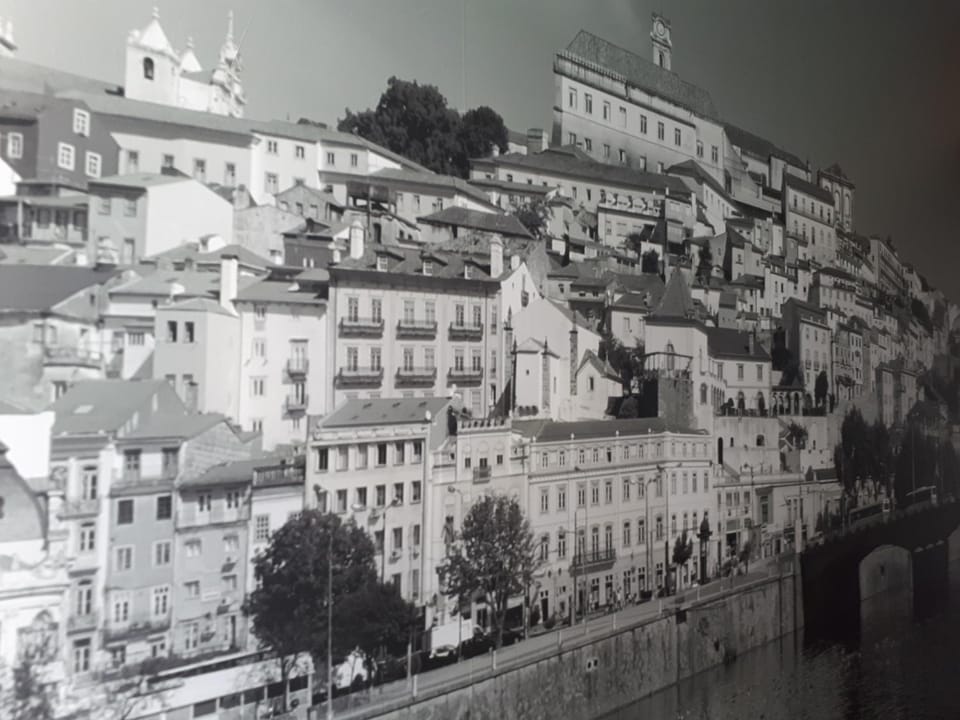 Decorative detail, City view