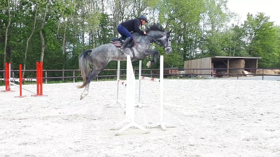 gîte du haras de valès House in Normandy