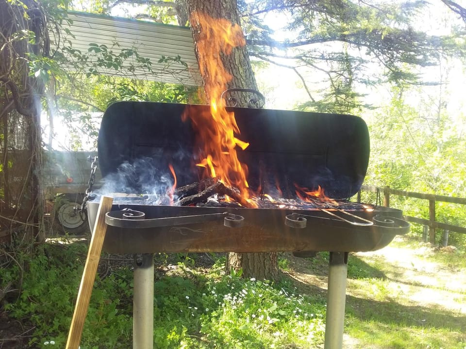 BBQ facilities, BBQ facilities, Garden