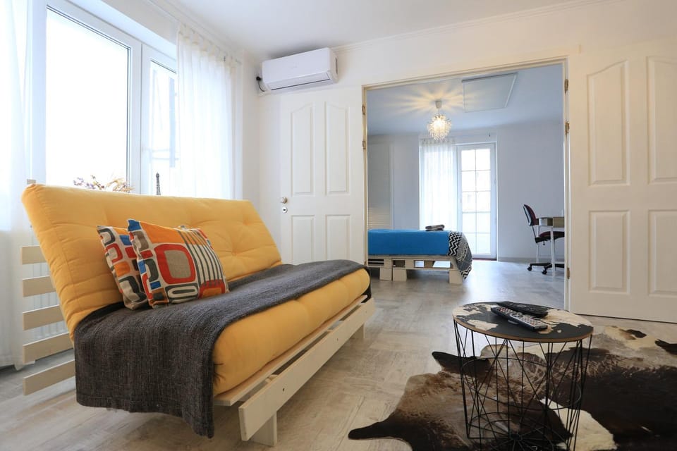 Norsk Skogkatt - BigTV DisneyTV Apartment in Romania