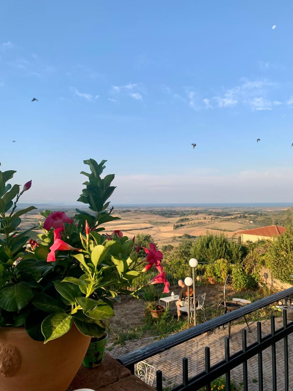 Natural landscape, View (from property/room), Balcony/Terrace, Sea view