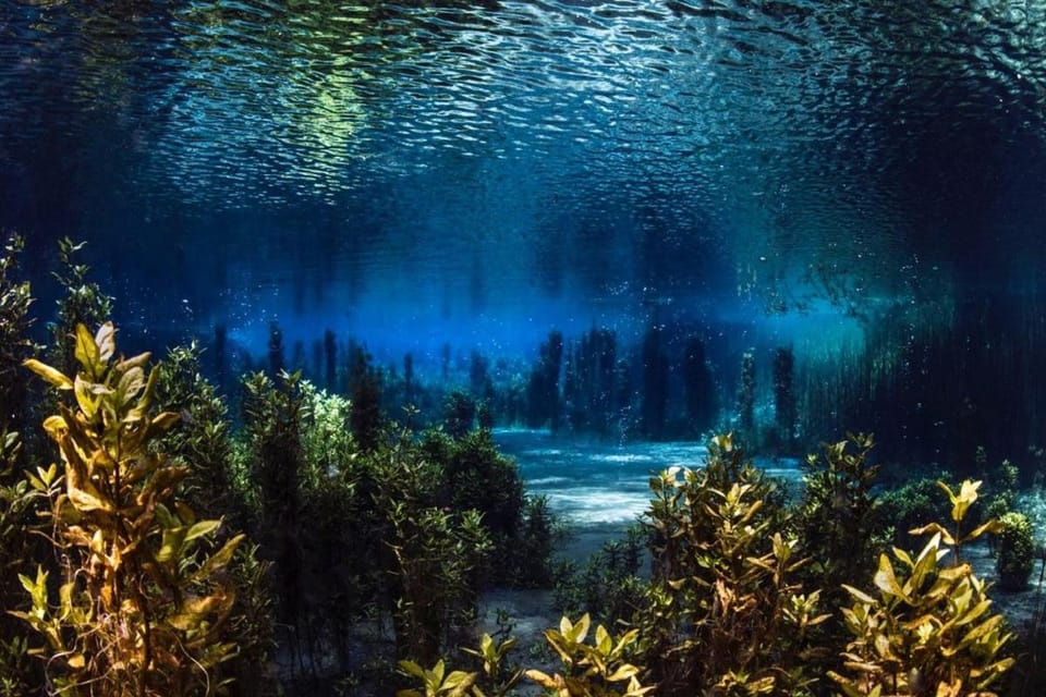 Natural landscape
