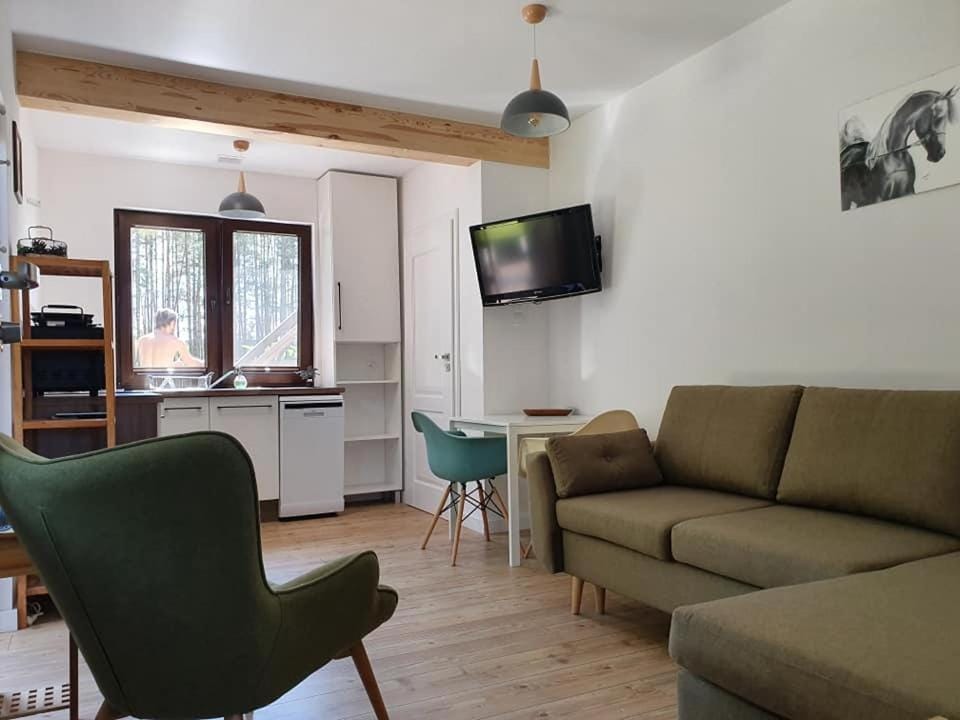 Siedlisko Owink Farm Stay in Pomeranian Voivodeship