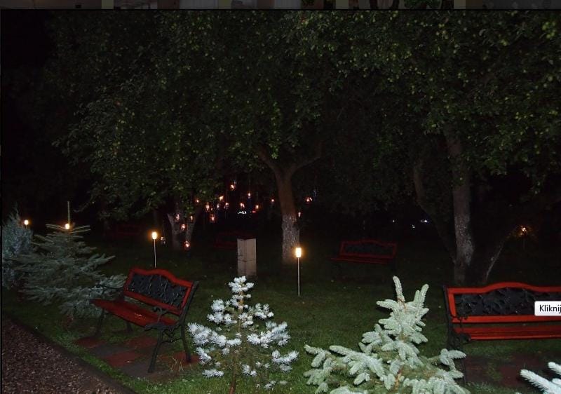 Patio, Garden