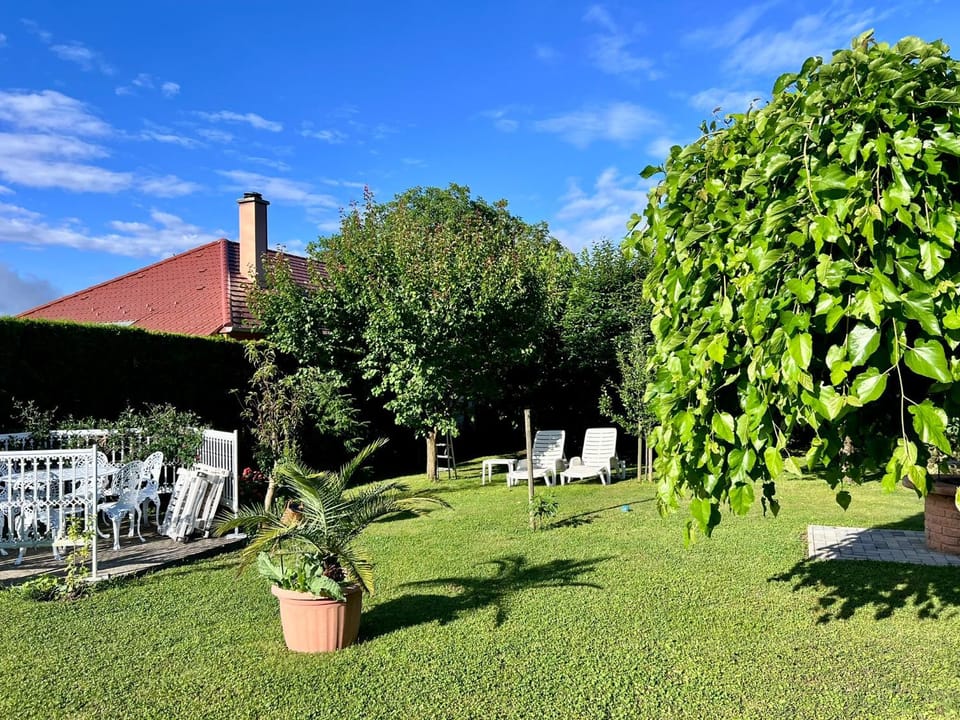 Spring, Day, Natural landscape, Garden, Garden view, sunbed