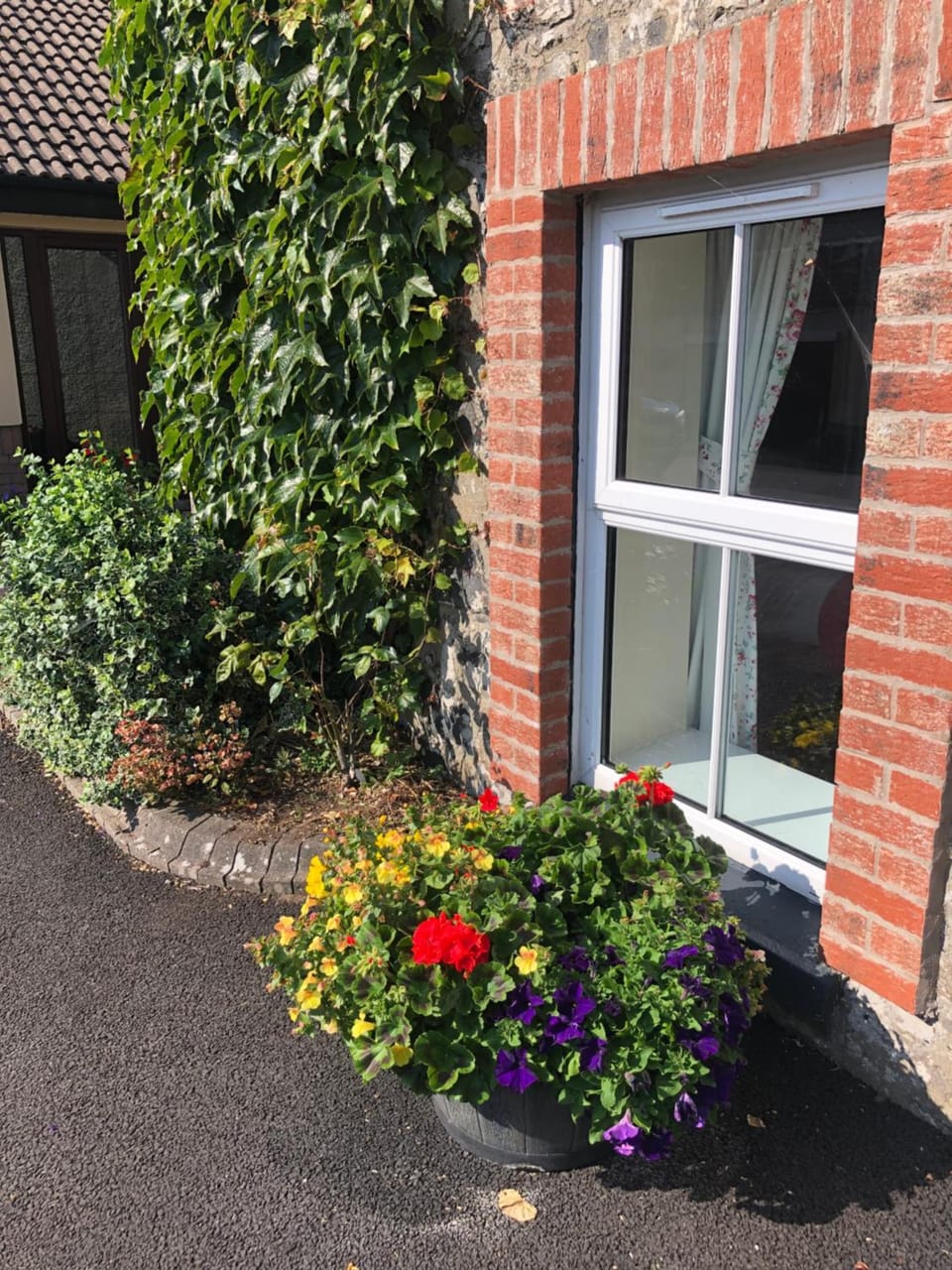 Hillcrest Cottage House in Northern Ireland