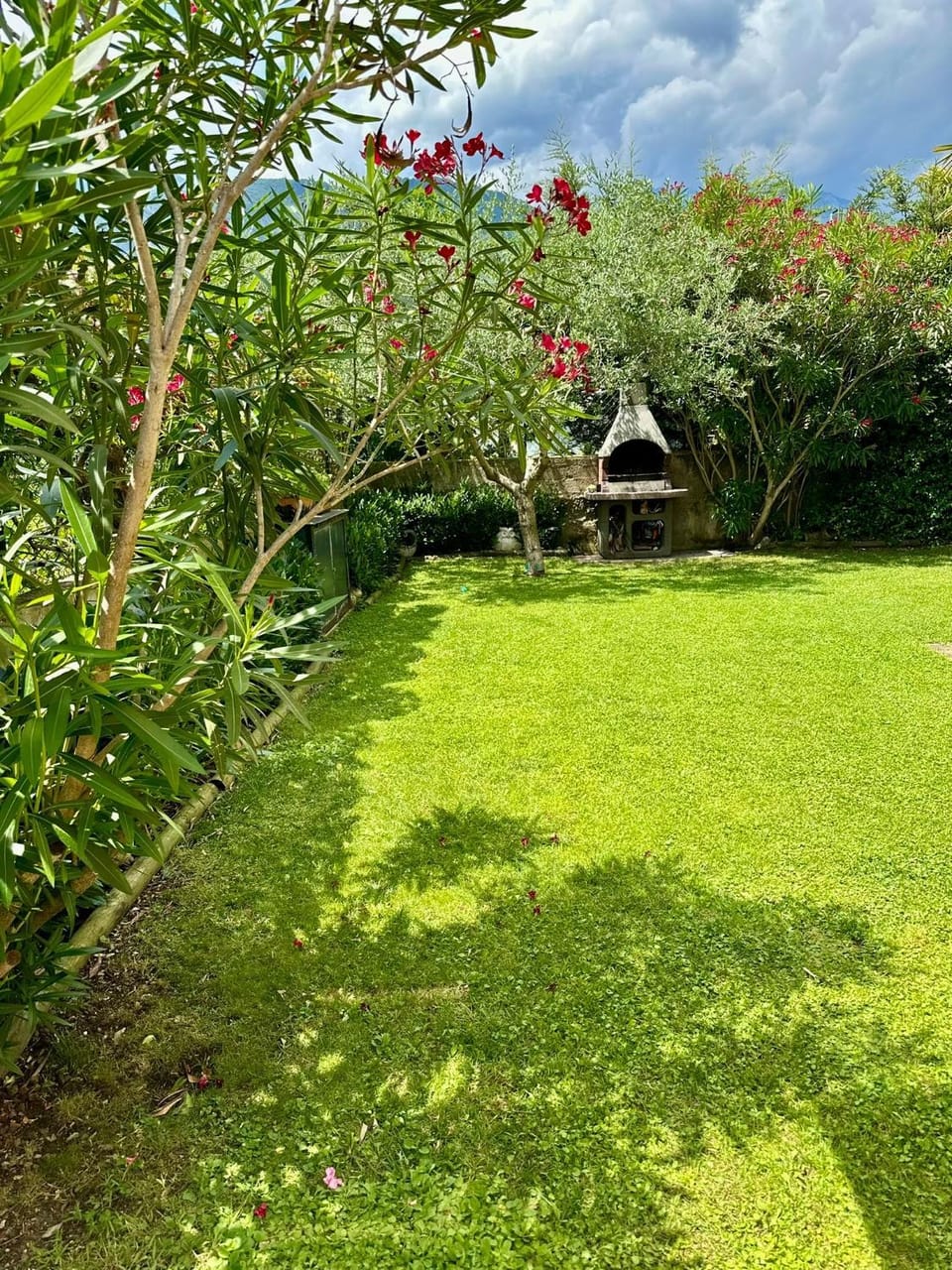 Olive Garden Apartment in Riva del Garda