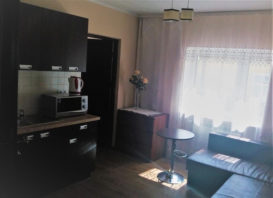 Kitchen or kitchenette, Living room, Photo of the whole room