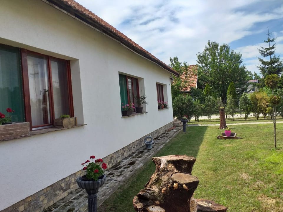 Vila Staša rooms Vacation rental in Vojvodina