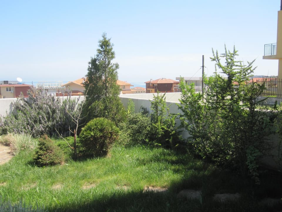 Day, Garden